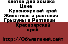 клетка для хомяка › Цена ­ 700 - Красноярский край Животные и растения » Грызуны и Рептилии   . Красноярский край